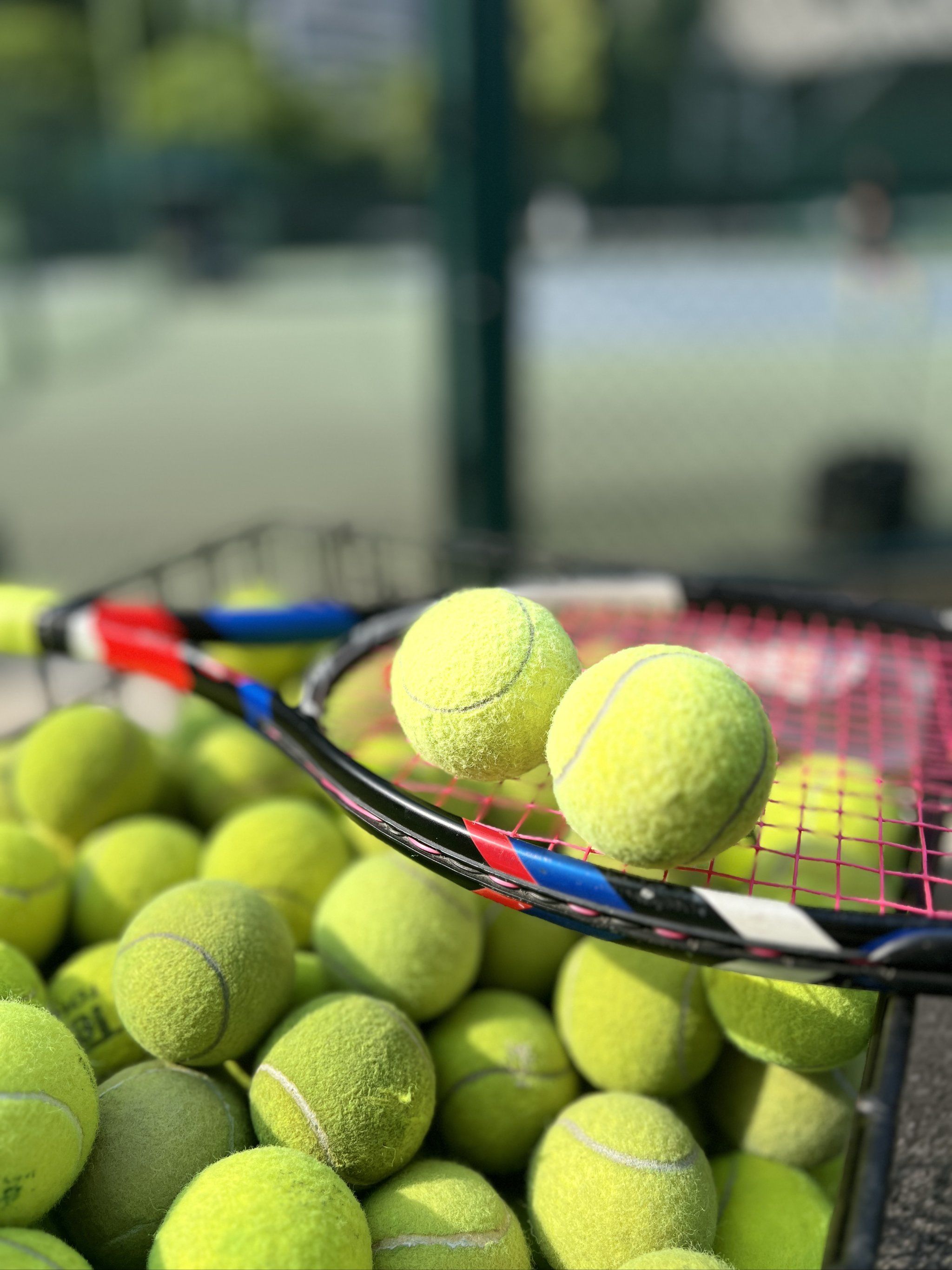 场上人数减 场上人数减